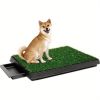 Drawer Dog Toilet Lawn Toilet Tray Indoor Toilet Dog Mat Pet Potty Tray Training Mat Pet Supplies (Color : Green, Size : 61 x 49cm)
