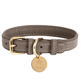 Dog Collar (Color: Desert Mint, size: medium)