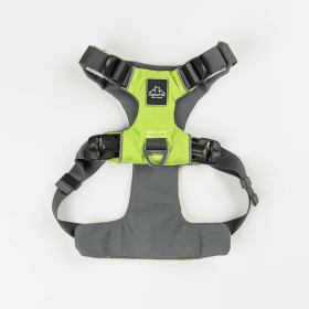 Millvue EZ Fit Dog Harness (Color: Kiwi Green, size: small)