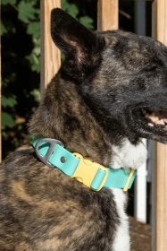 Island Vibes Waterproof Dog Collar (size: 15 - 17 inch)