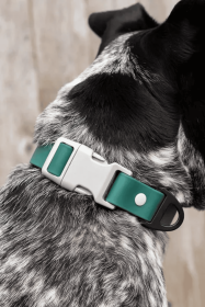 Siberian Spruce Waterproof Dog Collar (size: 11 - 13 inch)